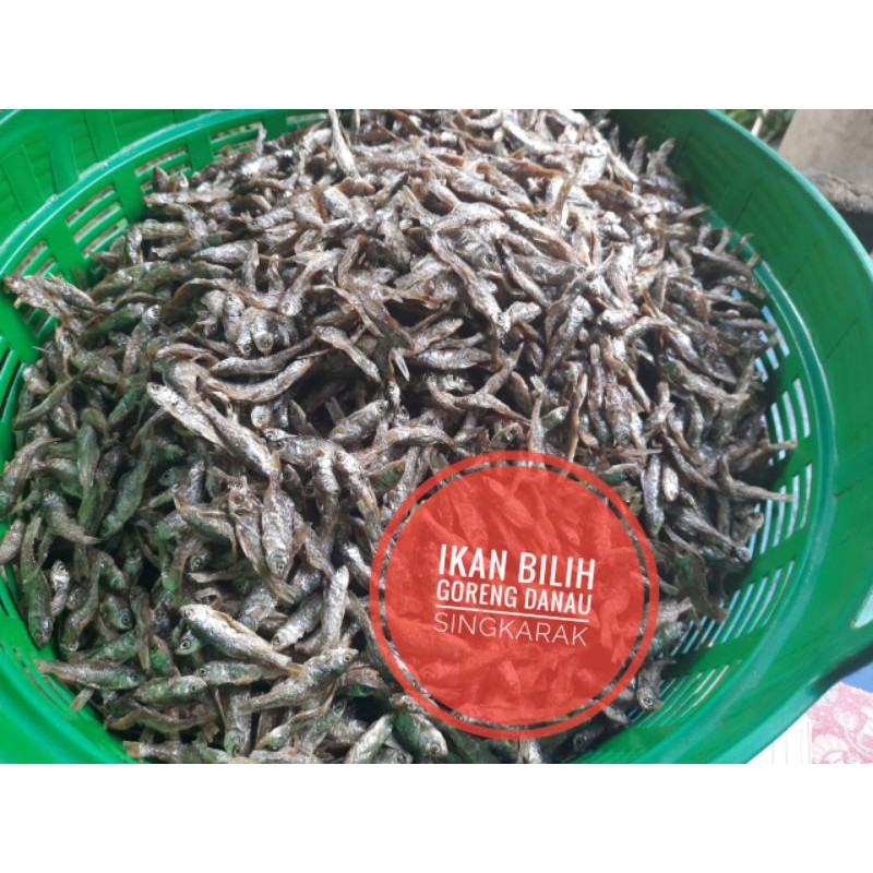 

ikan bilih