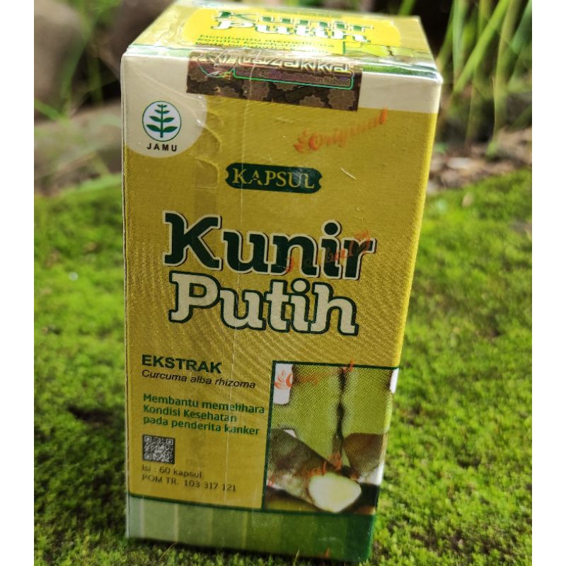 

KAPSUL HERBAL KUNIR PUTIH KAPSUL HERBAL MENGATASI KANKER