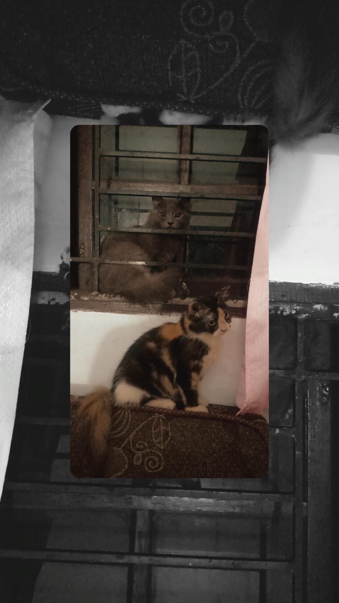 Batik Snn Sunan Nasional /cp Dewasa T3/4 /batik Sunan Nasional Asli