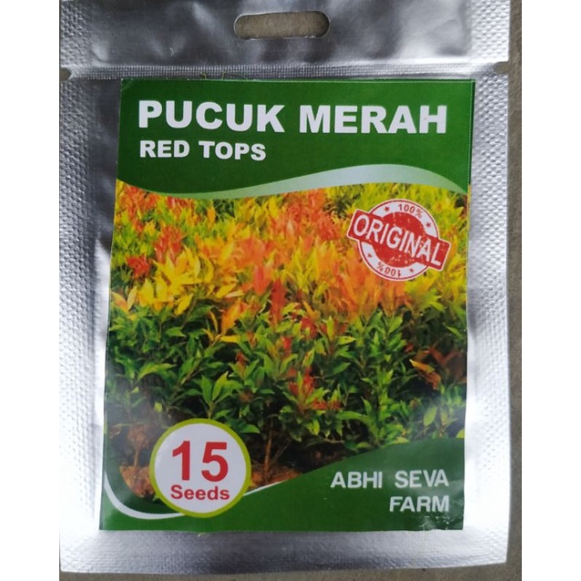 

Pucuk mereh benih 1 pack kemasan alumunium foil isi 15Seeds