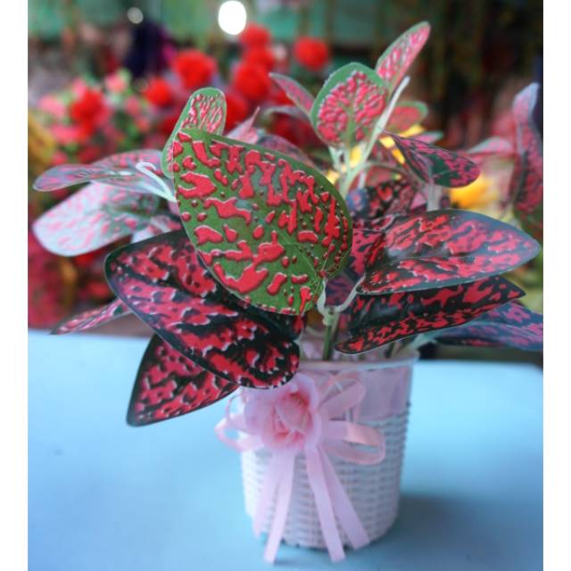 

Bunga Daun