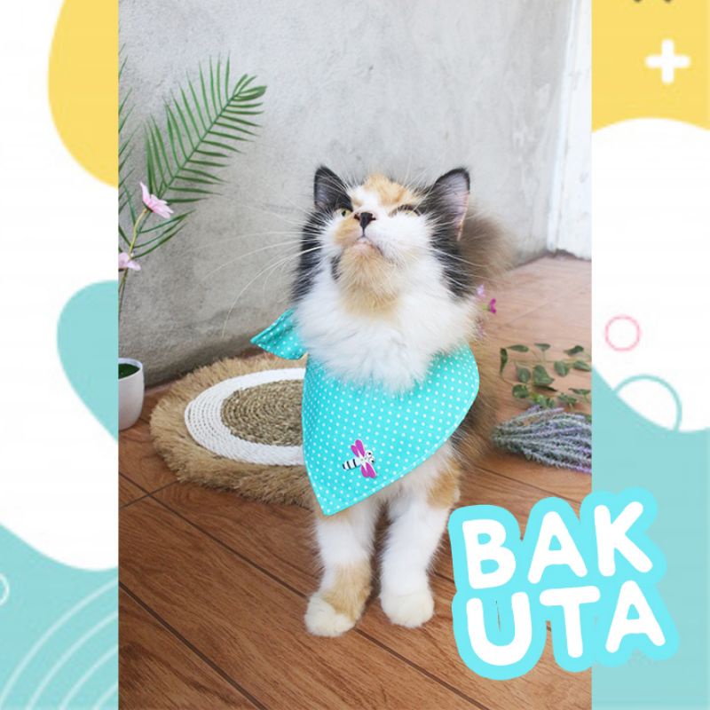 celemek makan imut untuk hewan kucing dan anjing lucu / baju kucing murah size kitten-adult