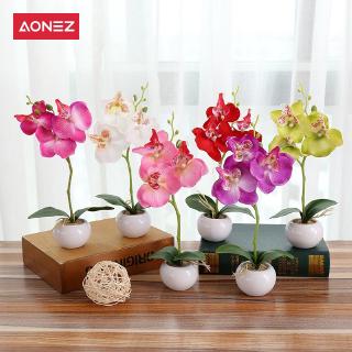 Aonez Bunga hias anggrek  phalaenopsis bunga dekorasi 