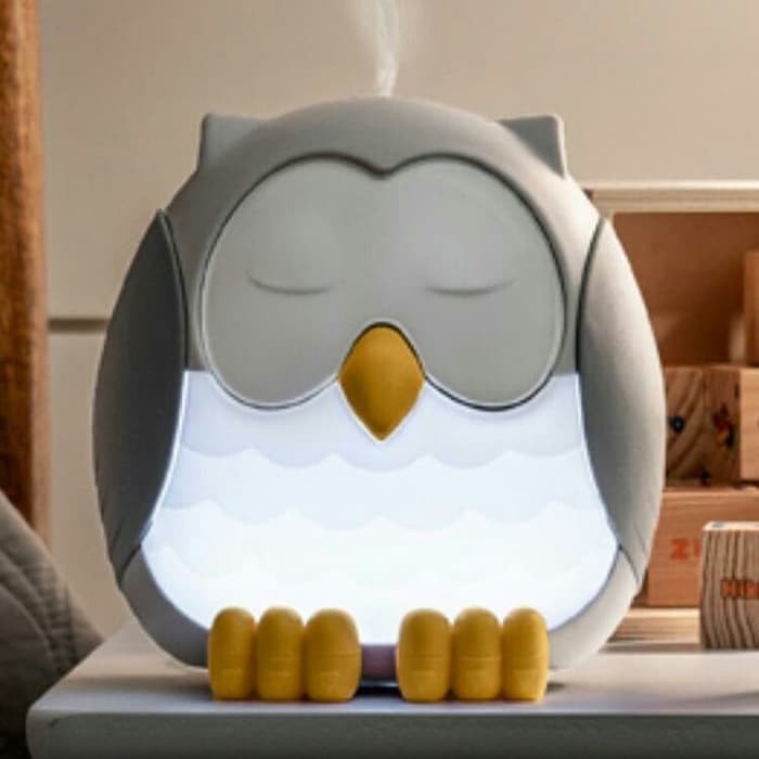 Diffuser Owl ( Faether Diffuser )