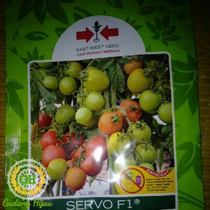 Jual Benih bibit tomat buah Servo f1 bibit tomat f1 servo