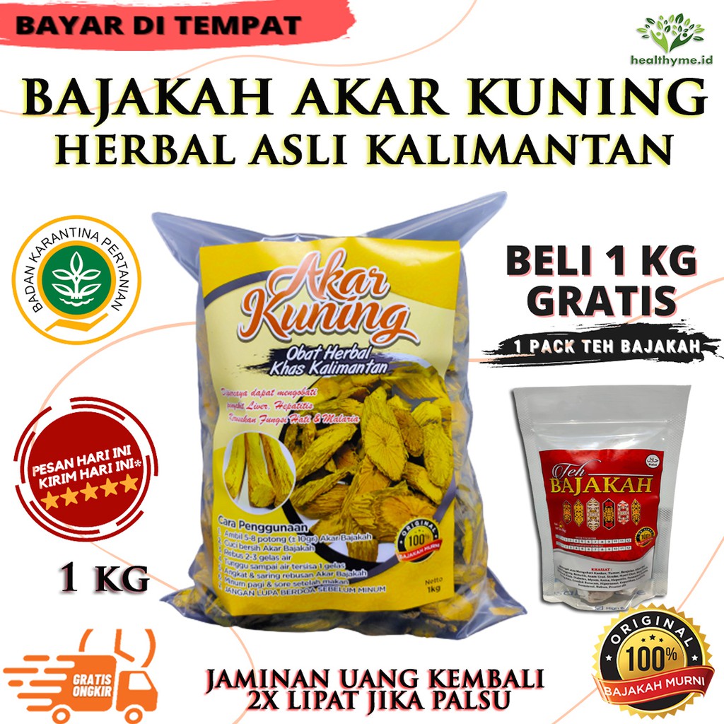 Akar Kuning Asli Kalimantan / Akar Bajakah Kuning / Kayu Bajakah Asli Kalimantan - 1 KG