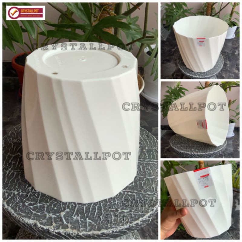 Pot bunga tanaman tabitha twist flower putih 25 - PRISMA 25
