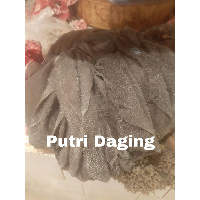 

Babat jarit /Daging Sapi Fresh