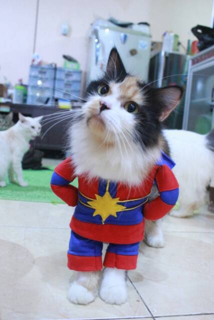 Kostum kapten marvel final untuk kucing dan anjing / baju kucing murah size S M L XL