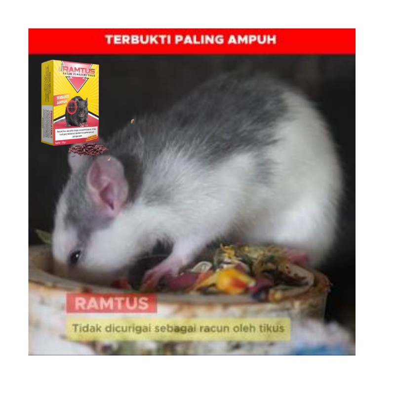 RACUN TIKUS RAMTUS MAKANAN TIKUS PEMBUNUH TIKUS PERANGKAP TIKUS PEMBASMI TIKUS PALING AMPUH