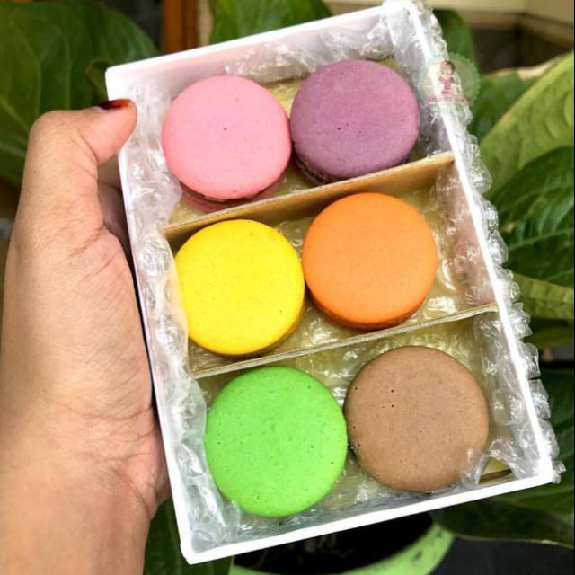 

Macaroon Regular isi 6