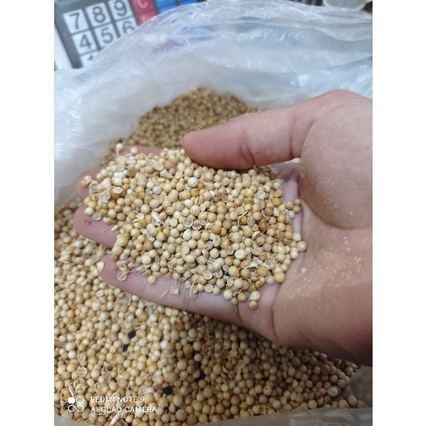 

Ketumbar bumbu dapur 100 gr