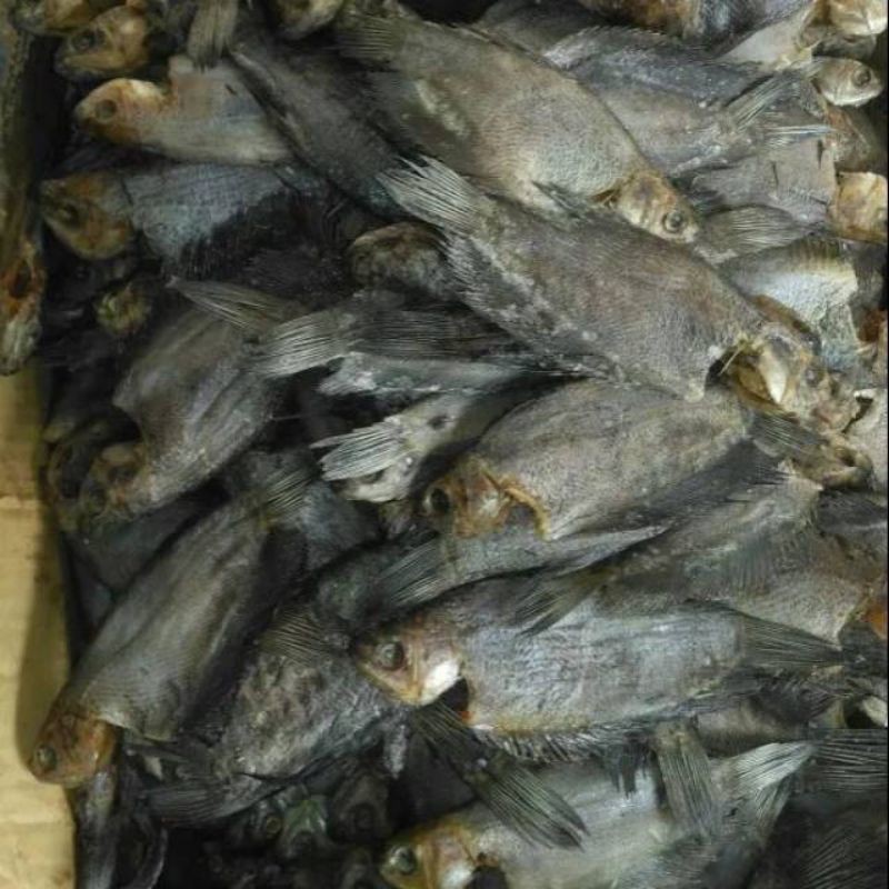

Ikan Asin Sepat Sungai Netto. 1Kg