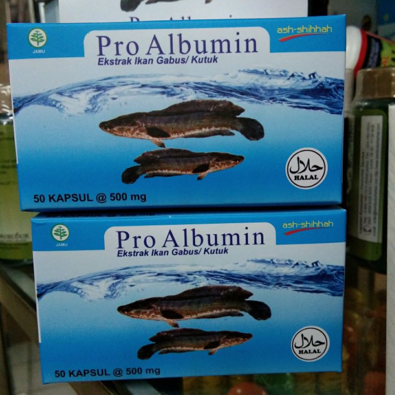 Pro albumin extra ikan gabus