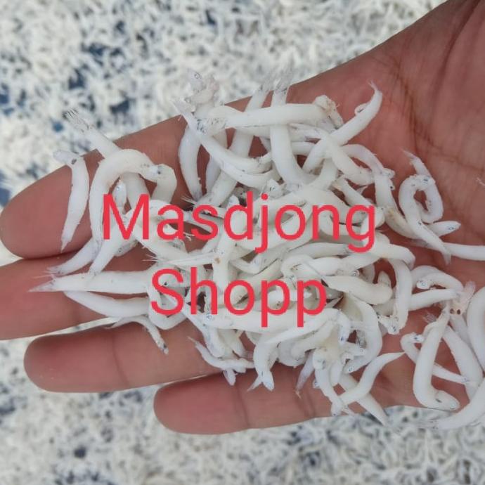 

[COD] ikan asin trie nasi medan 250 gram [COD]