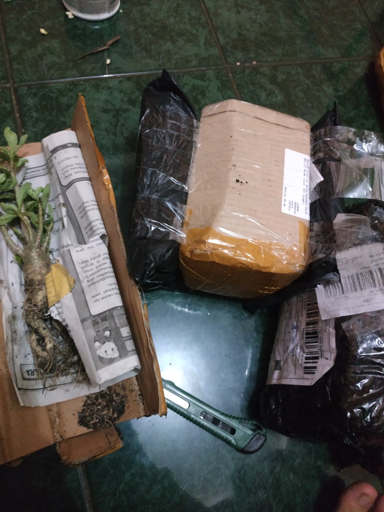 Eceran Media Tanam Tanah Subur Isi +/- 1kg