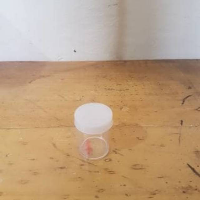 Toples mika mini 3cm