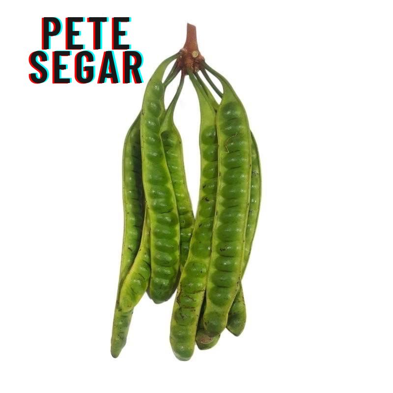 PETE SEGAR SUPER PERLONJOR ATAU PERPAPAN