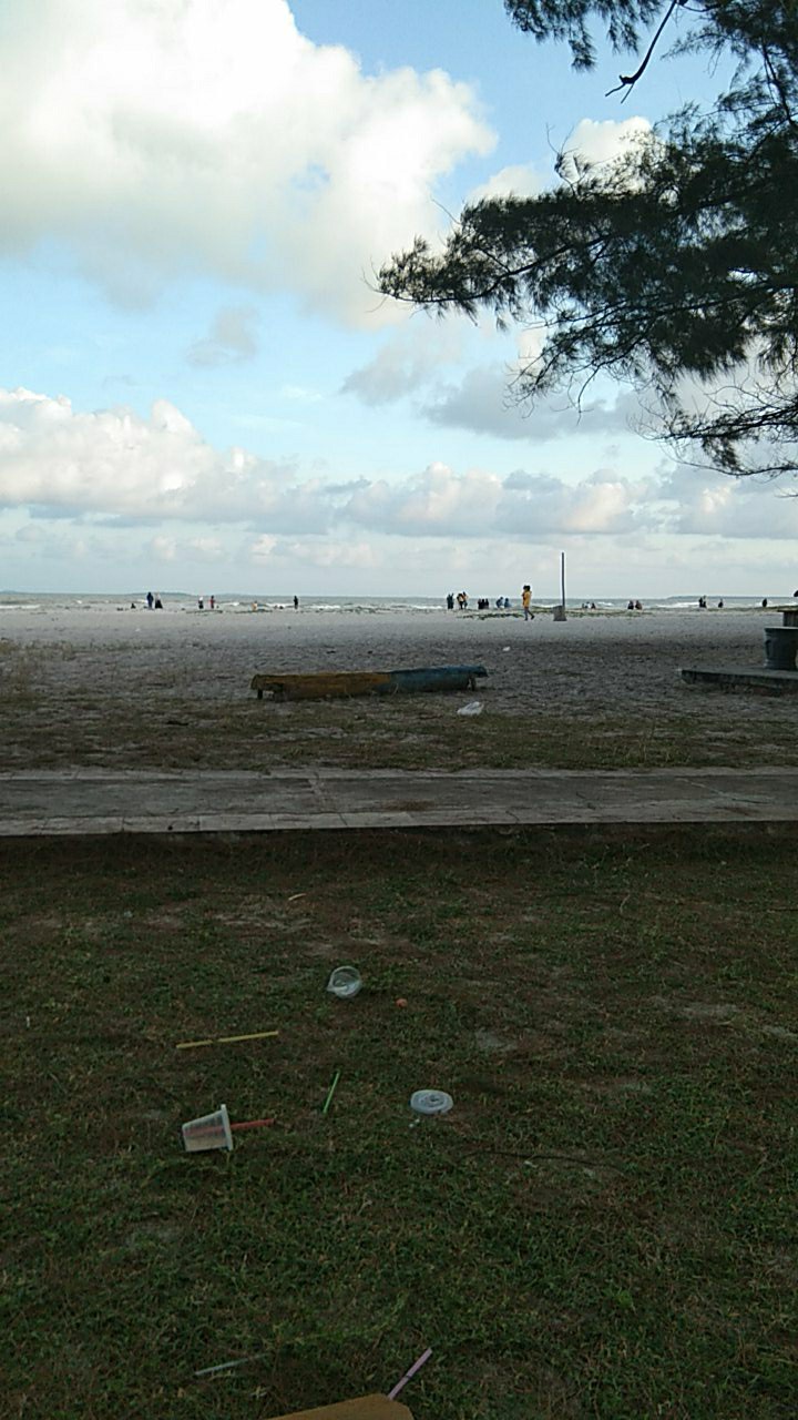 Tanaman Hias - Bunga Gloxinia - Warna Random