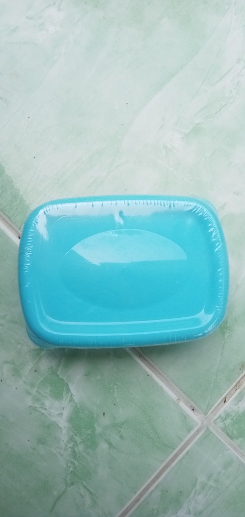 Batamgrosir.id | Tempat Bekal - Imperial Storage Box - Kotak Nasi -  Serbaguna Green Leaf 7005