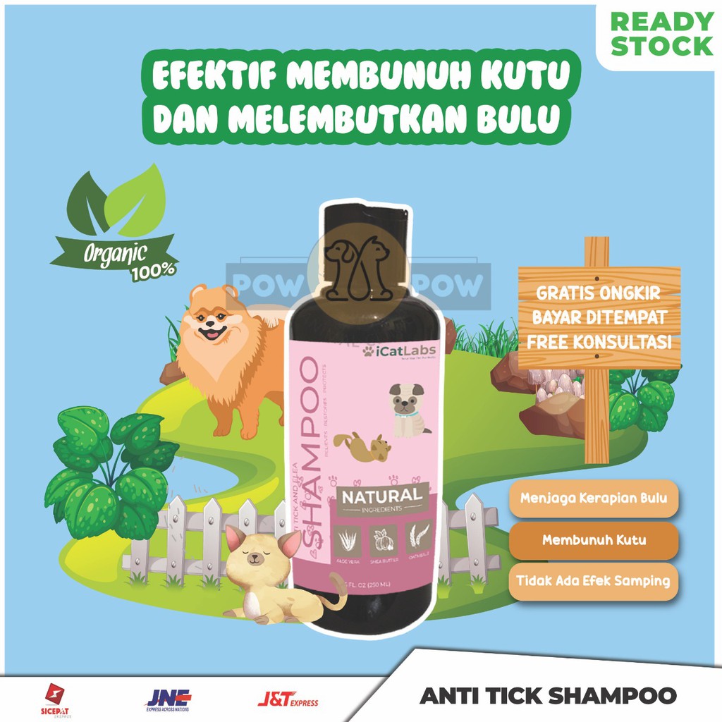 Shampoo Kucing dan Anjing Herbal Pembasmi Kutu Paling Ampuh