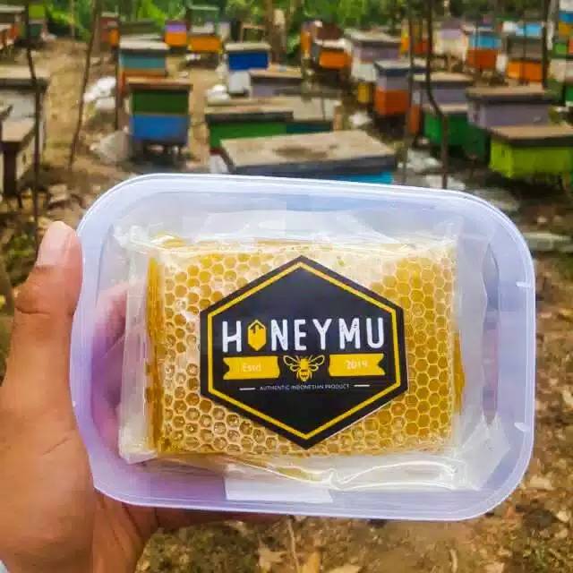 

(READY) Sarang Madu ASLI MELIFERA 250grm 100% Madu Asli