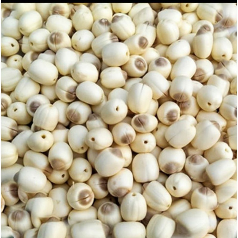 

Biji Teratai / White Lotus / Lian Zi 100gr