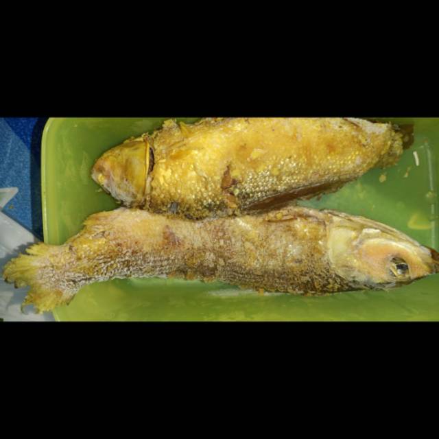

Bandeng Presto (bisa req goreng)