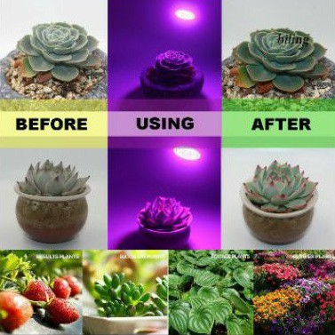 LAMPU HIDROPONIK TANAMAN LED Growth Light Grow