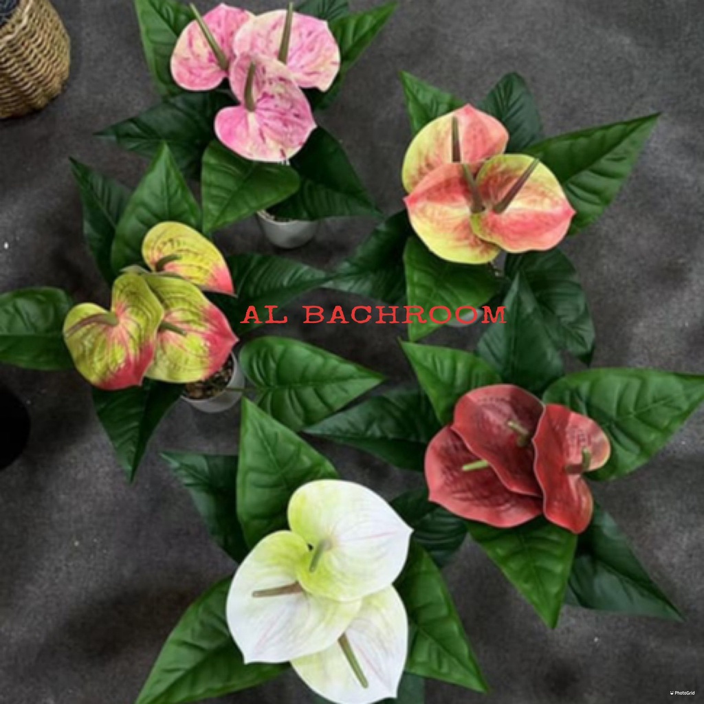 B8089 TANAMAN ARTIFICIAL ANTHURIUM LATEX PT-B3 TANAMAN HIAS PLASTIK HIASAN RUMAH