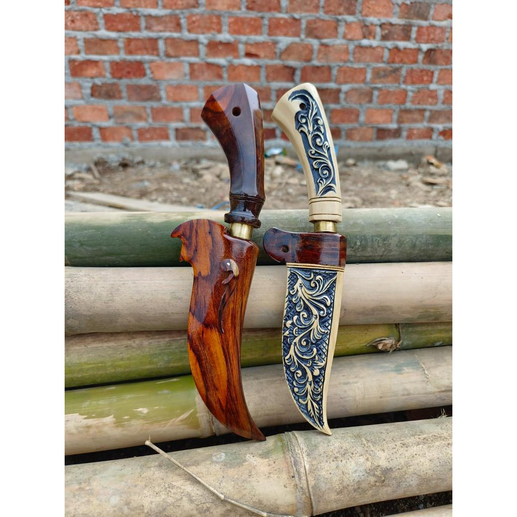 PISAU DAPUR SERBAGUNA SISIT KULIT