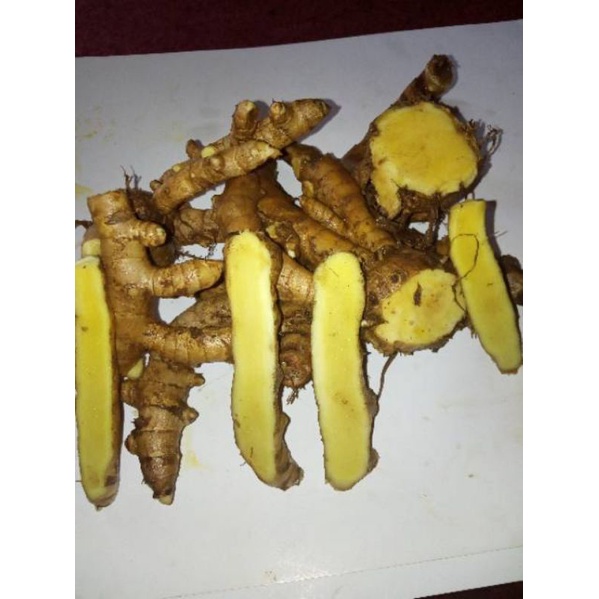 

Temu mangga/ Kunyit mangga 1 kg