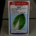 Benih Sawi Putih Eikun 20gram