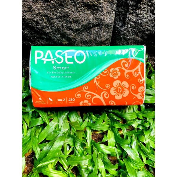 Tissue/ Tissue Paseo 250sheet/ Tissue 2ply