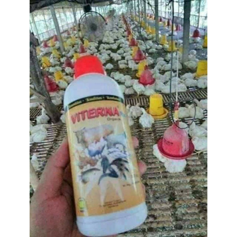 viterna