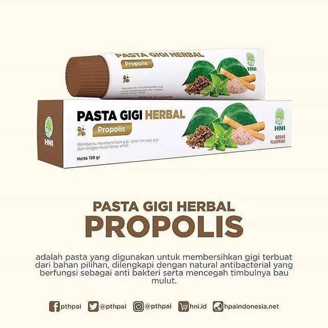 PGH propolis