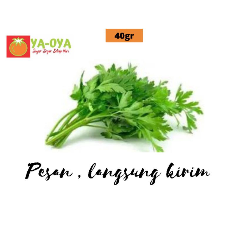 

DAUN SELEDRI 40gr
