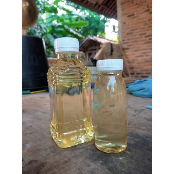 

minyak kelapa hijau minyak kelapa murni kletik minyak keletik asli