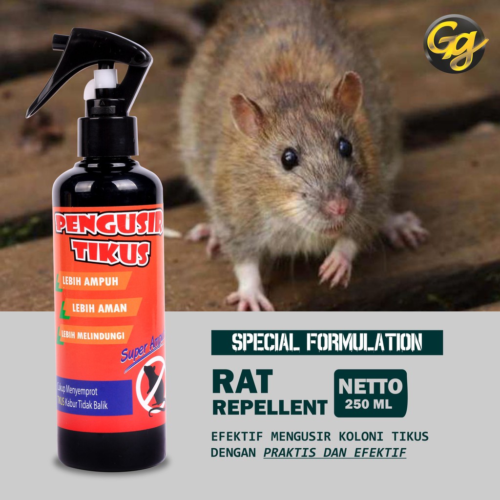 RACUN TIKUS OBAT TIKUS PEMBASMI TIKUS MEMBUNUH TIKUS CAIRAN TIKUS SUPER HEMAT- SUPER AMPUH