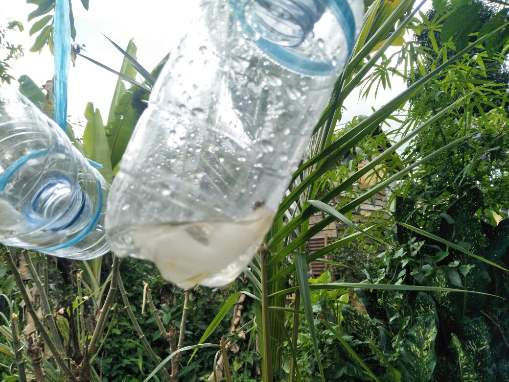 Polybag Polibek Polybeg 40x40 Cm Per Lembar