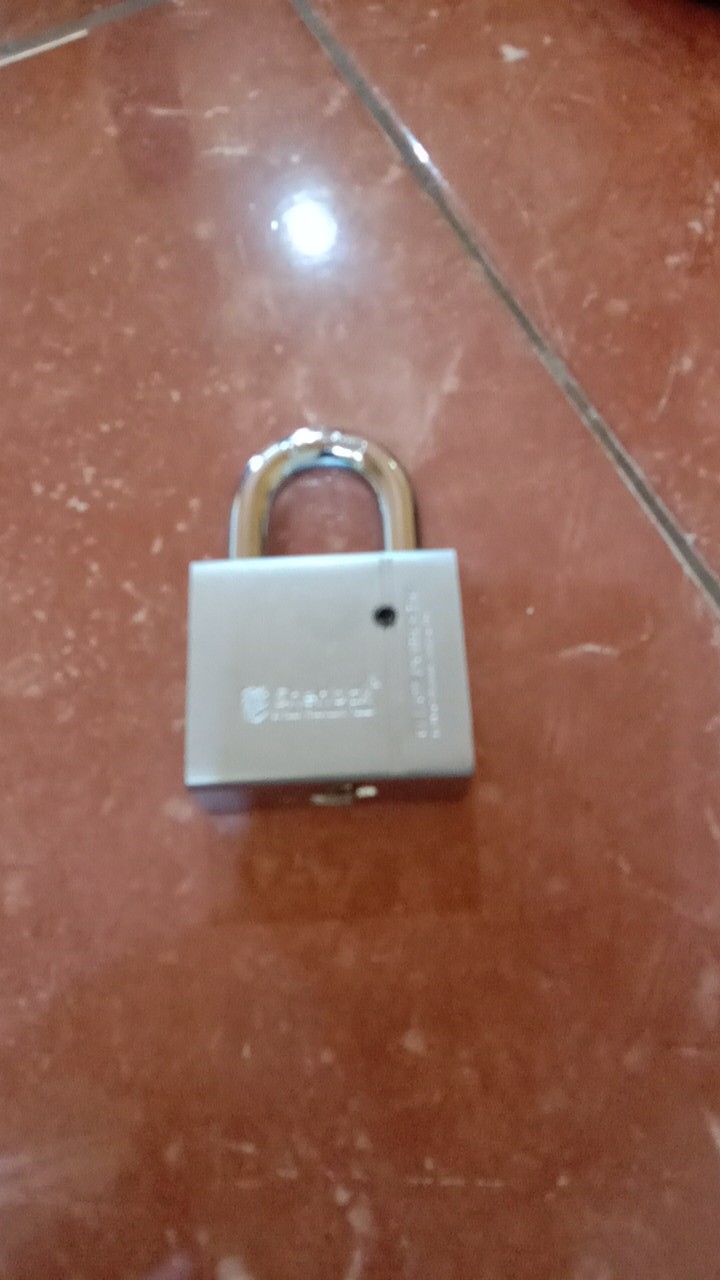 Sherlock Elliot Domestic Gembok Perisai Baja (53 Mm Pendek) Silver