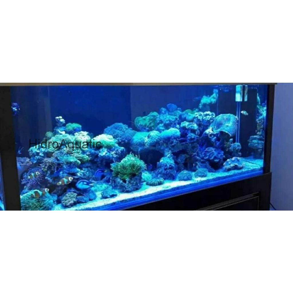 Lampu Aquarium 50cm WARNA BIRU / Lampu celup / Lampu led aquarium / Lampu akuarium / Dekorasi akuarium / model t4 / LED CELUP