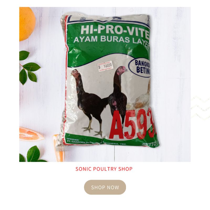 Pakan Ayam 593