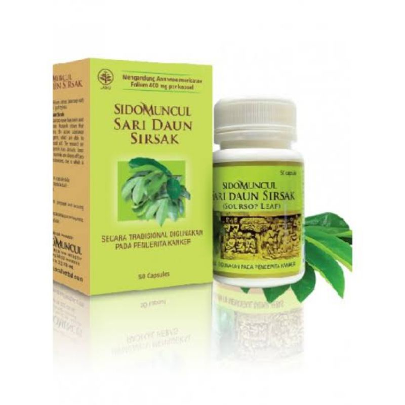 SidoMuncul/Sari Daun Sirsak