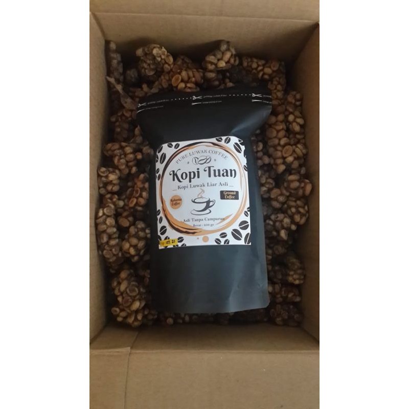 

Kopi Tuan