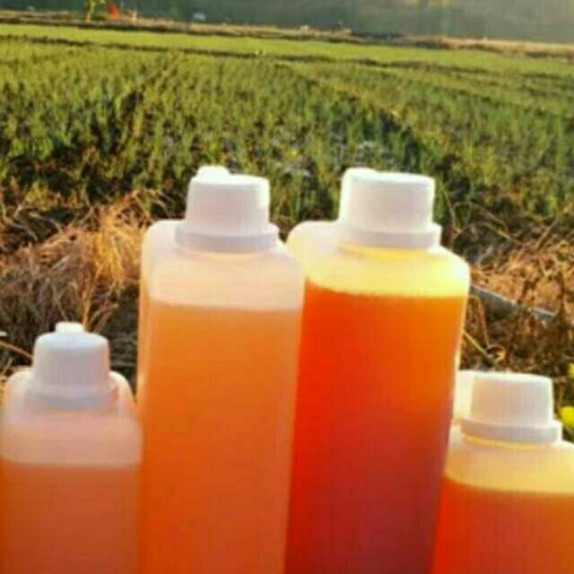 

Baru Madu Putih Murni Hutan Sumbawa 1kg