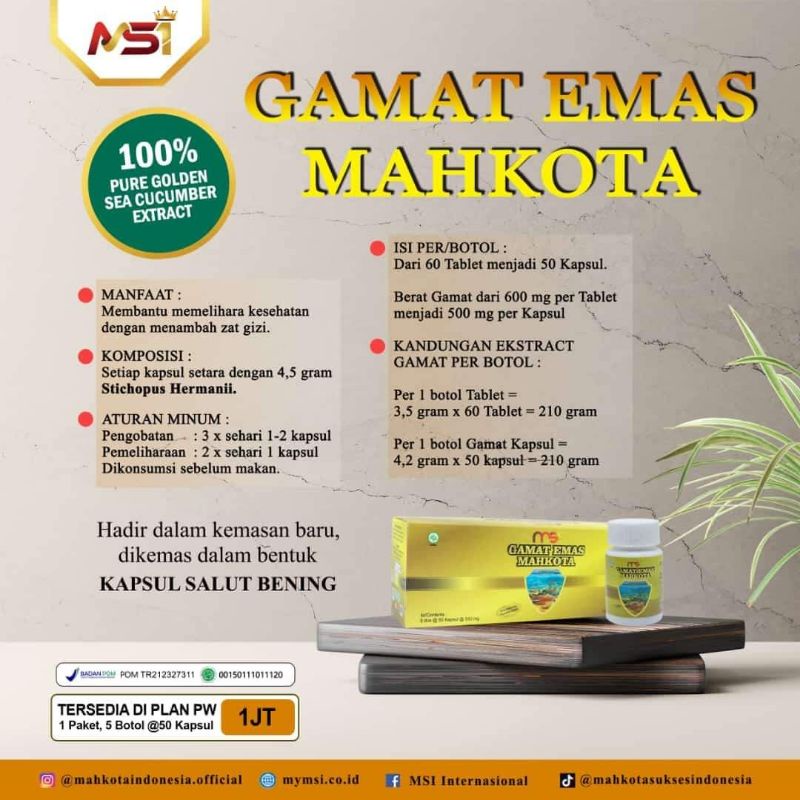 PAKET MEMBER 3 PAKET GAMAT EMAS MAHKOTA MSI 100% ORI