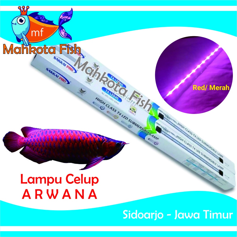 Lampu Celup ARWANA Aquarium | Lampu Arwana | Lampu Celup Merah | HEMAT ENERGY | Aquascape (GRATIS Bublewrap &amp; Kardus)