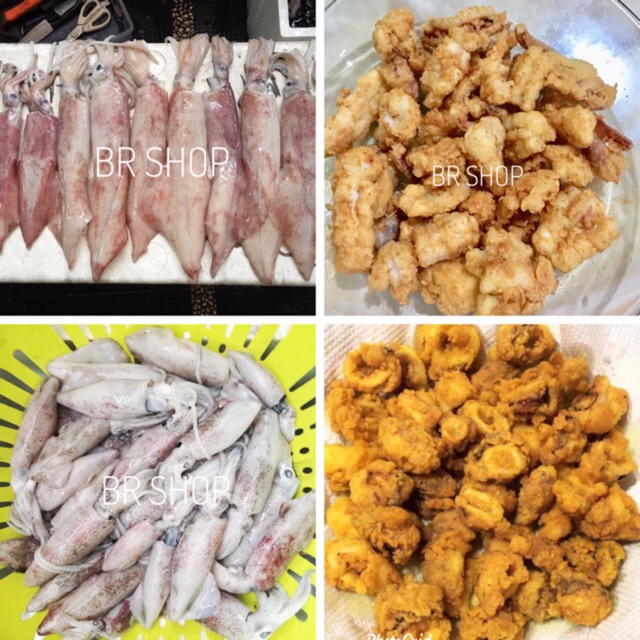

Cumi laut segar 1000gr (100% FRESH hasil tangkap nelayan)