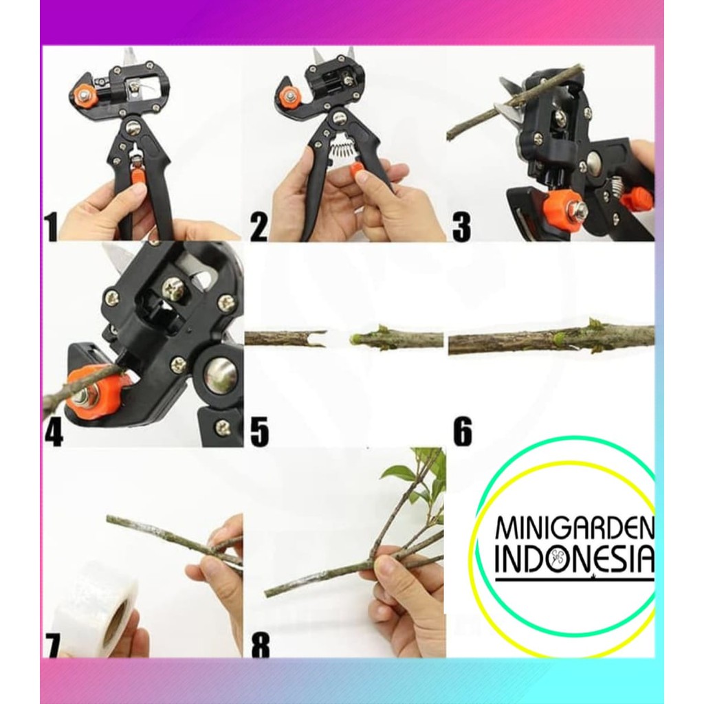 GRAFTING TOOL &amp; PRUNING SCISSOR alat sambung pucuk gunting pruning gunting okulasi stek taman